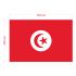 Наклейка Флаг Туниса 300мм, на автомобиль